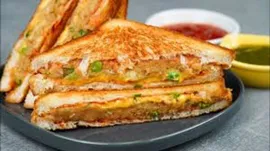 sandwich-spices-200gm-jar-pack-sndj2-b