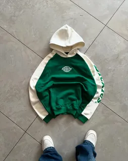 dickies-hoodie-trt122-a