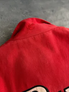 chase-authentics-dale-earnhardt-jr-budweiser-nascar-racing-jacket-trt641-g